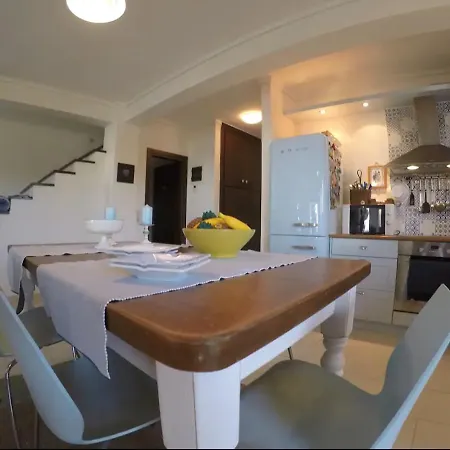 Endless Blue Elani 시비리